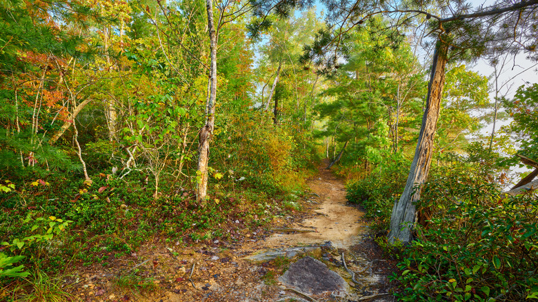 A section of the John Muir Trail in Big South Fork