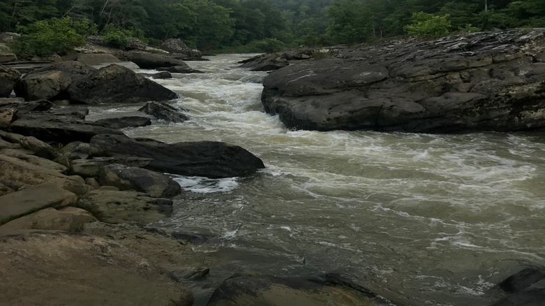 A popular stretch of the Big South Fork river for whitewater paddling
