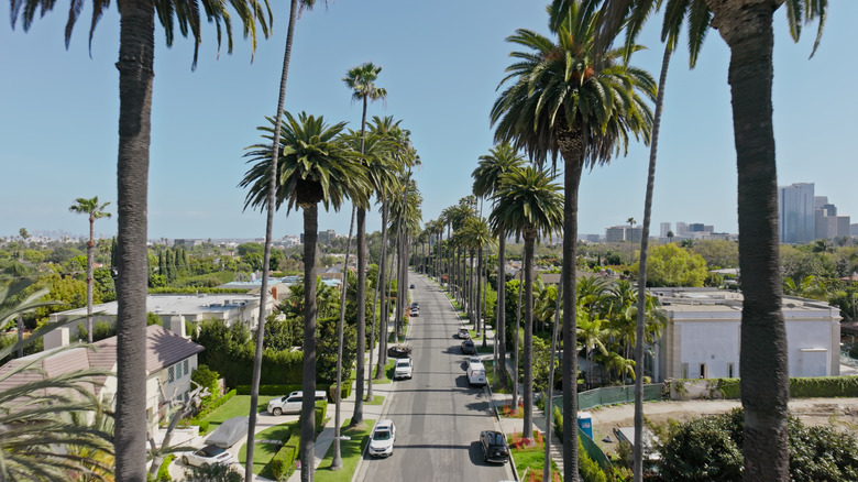 Aerial shot of residential street in Beverly Hills, California