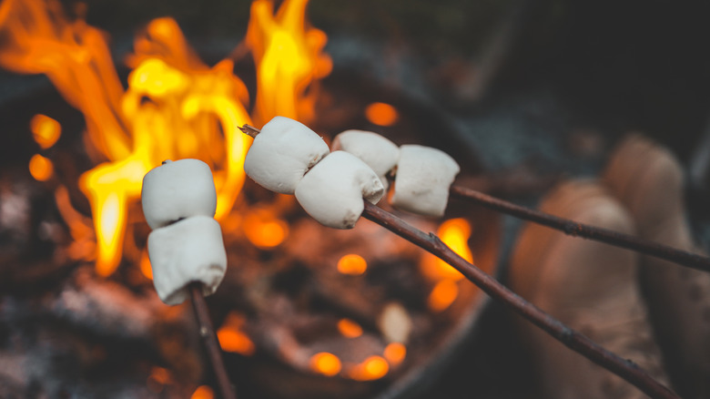 Marshmallows on twigs, roasting on a campfire