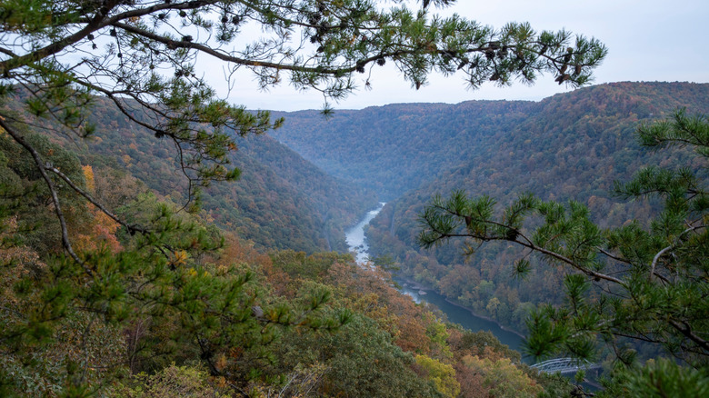 Expansive landscape of the national park of New River Gorge