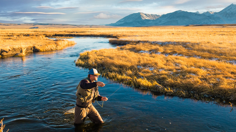 Fly fisherman casting in US river