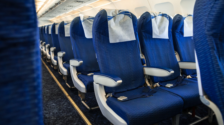 Rows of blue seats on a plane