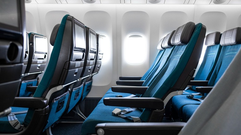Rows of blue seats on a plane