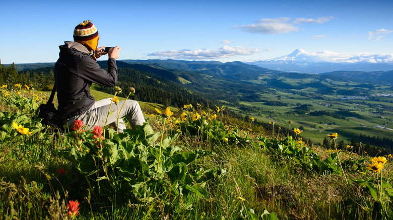 A traveler sitting in a meadow full of flowers photographing Mt Hood in the Cascade Range, Oregon.