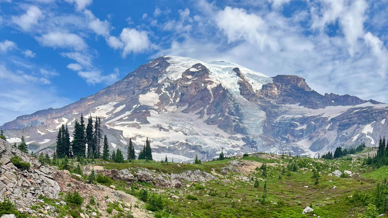 Mount Rainier on the Skyline Trail.