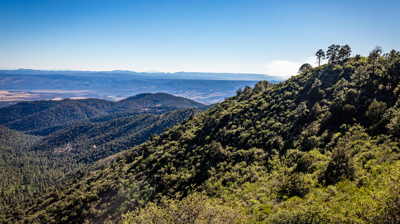 View of mountains and blue sky from Coronado Trail Scenic Byway