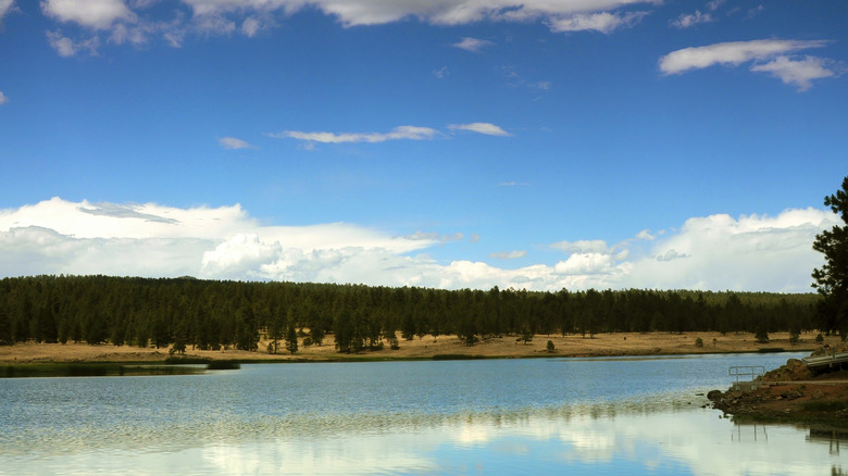 Luna Lake in the White Mountains Arizona with trees and blue sky