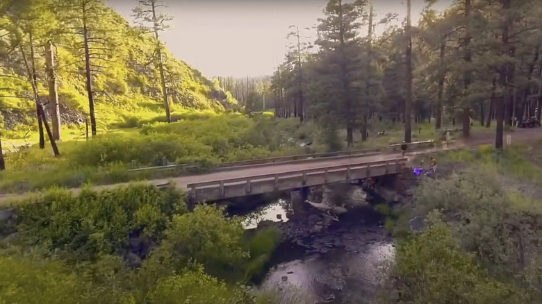 Drone footage of paved road and bridge in Alpine, Arizona forest