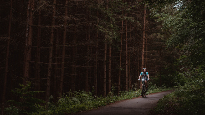 A cyclist traveling through forests in Hungary along the Amazon of Europe Bike Trail