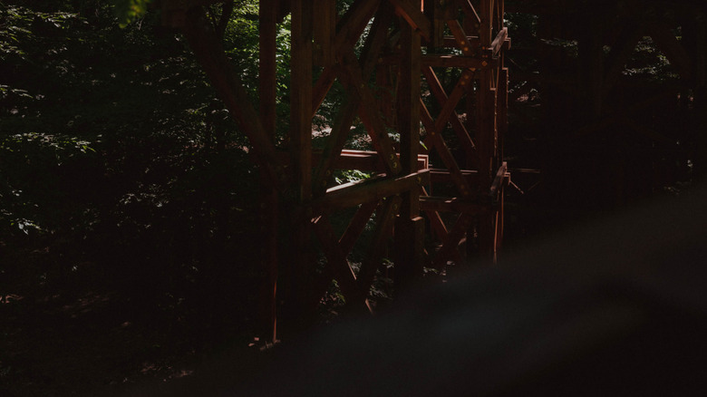 A traveler on a wooden walkway in the Kaszó forest in Hungary