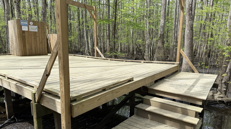 Beaver Lodge and Beaver Trail campsite along the Roanoke River in North Carolina