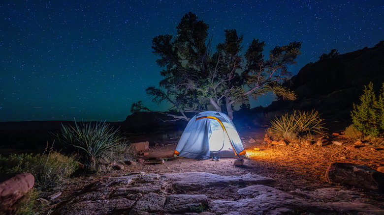 A tent illuminated by a light in the Grand Canyony