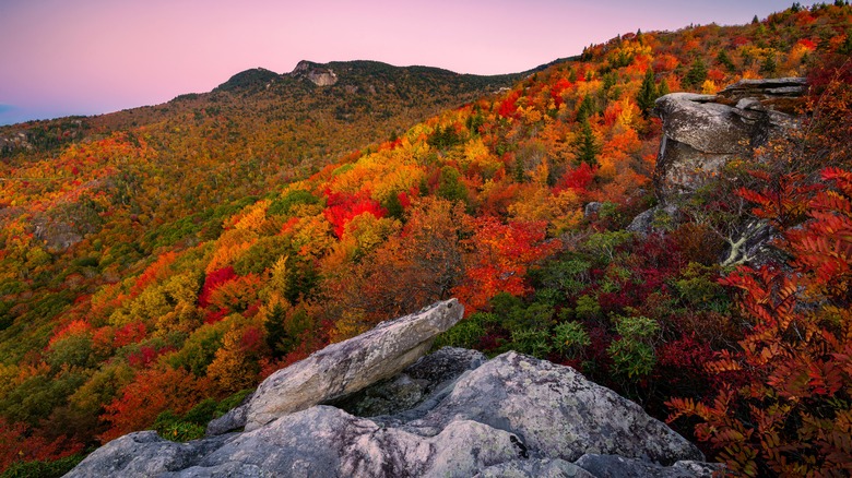 Peak fall foliage in Virginia's Blue Ridge Mountains