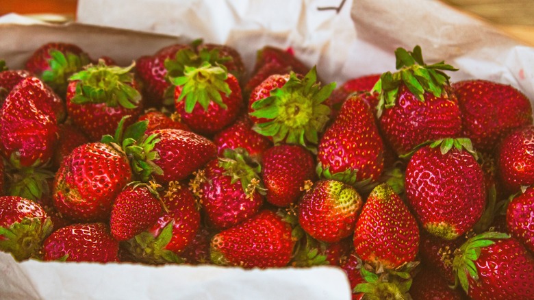 Areguá fresh strawberries