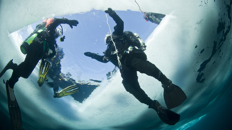 Ice divers underwater below a hole in the ice