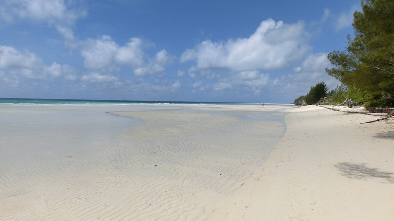 View of Gold Rock Beach in The Bahamas
