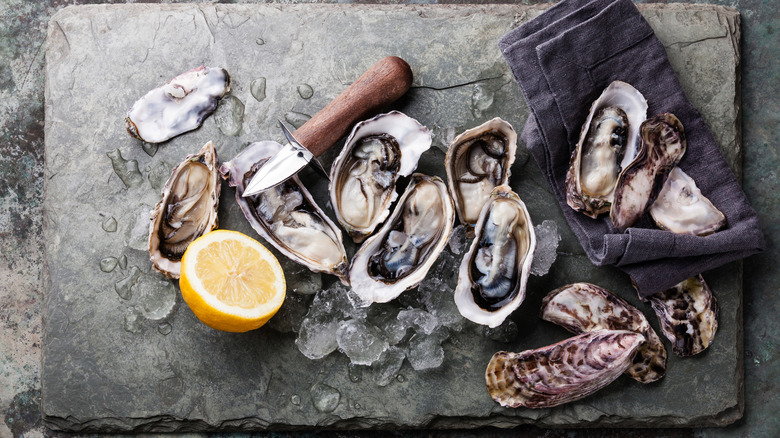Ocean fresh oysters, a typical dish in Cabo San Lucas' fine dining restaurants