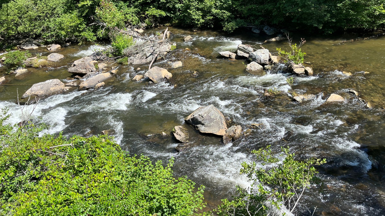 Tellico River in Tennessee