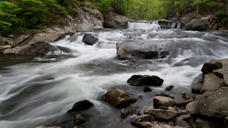 Baby Falls, located along the Tellico River in southern Tennessee