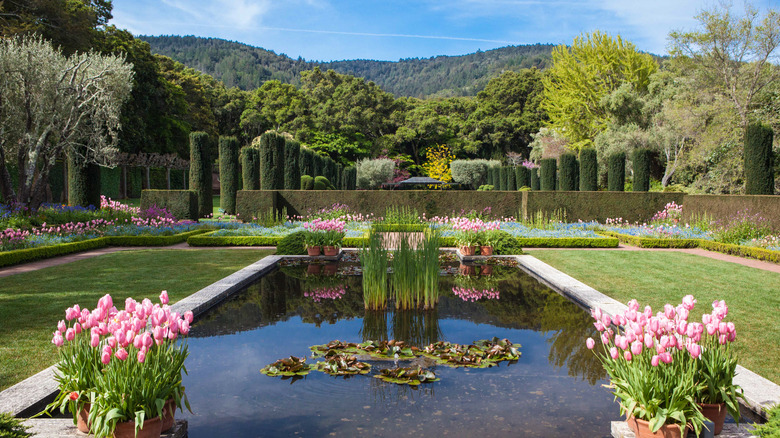 View of Filoli's gardens in bloom