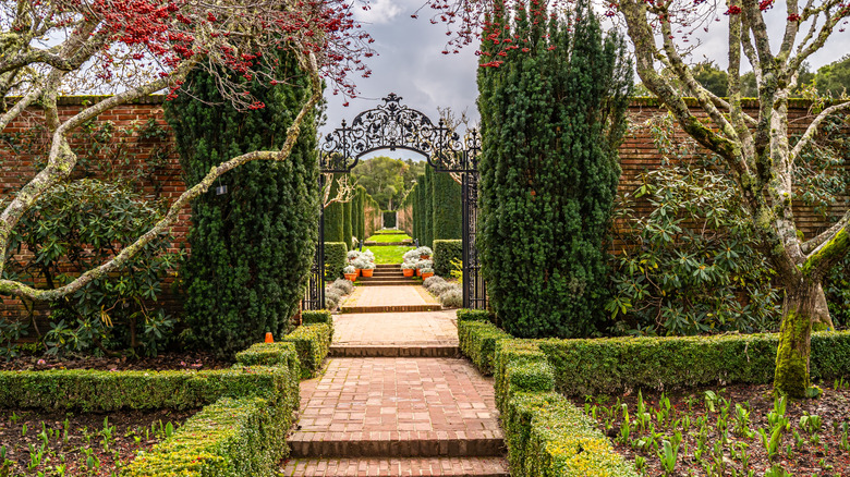 View of a garden path at Filoli