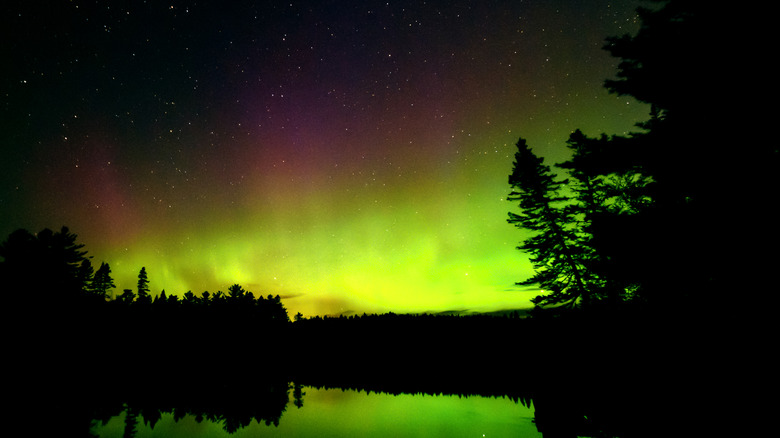 Northern Lights seen over a lake and trees in Maine