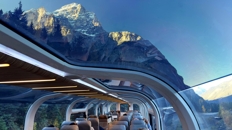 Closeup shot through a glass-topped train looking out at the Canadian Rockies