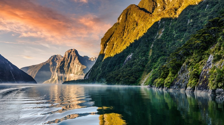 pink skies and lush fjords of Milford Sound in New Zealand bordering deep waters