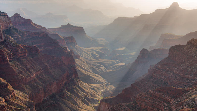 Sunlit Grand Canyon view
