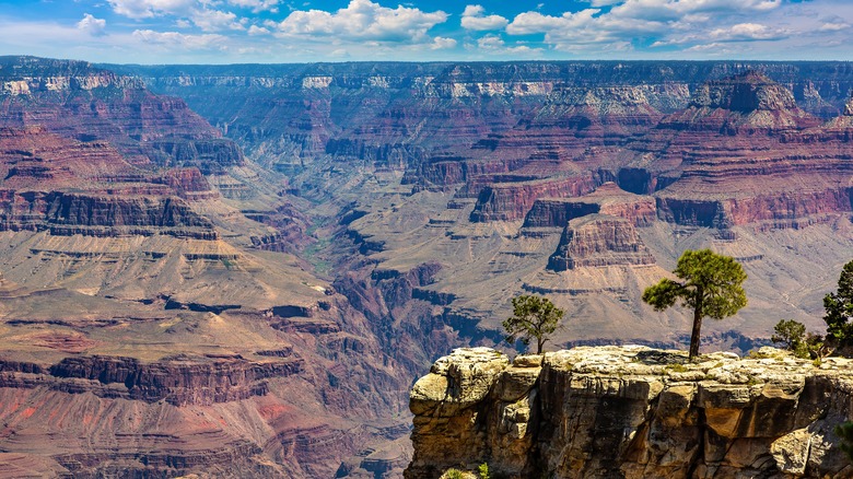 Grand Canyon western expanse