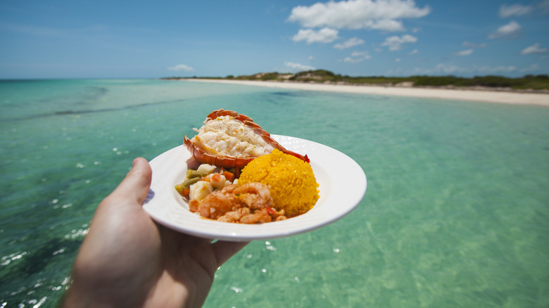Hand holding plate of lobster and rice in front of a beach