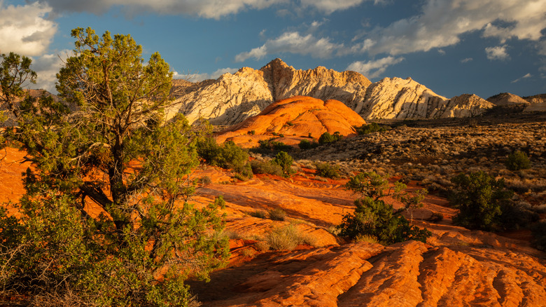 Sunrise at Snow Canyon State Park in Utah.