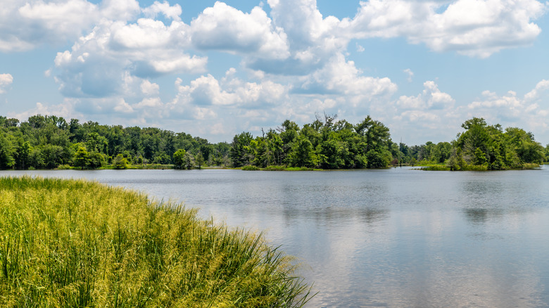River near Natchez Trace Parkway, Mississippi