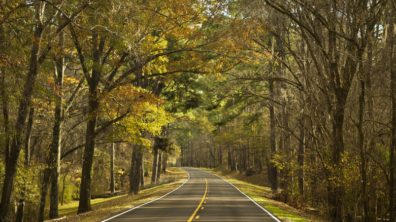 Natchez Trace Parkway in fall