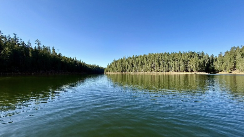 Blue water of Bear Canyon Lake against the green pine forest