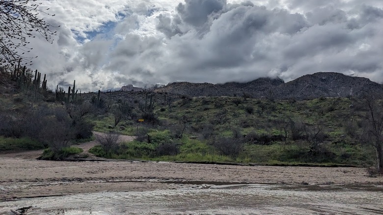 Water in the wash at Catalina State Park