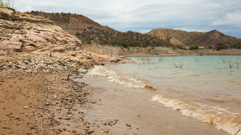 The sandy shore of an Arizona lake beach