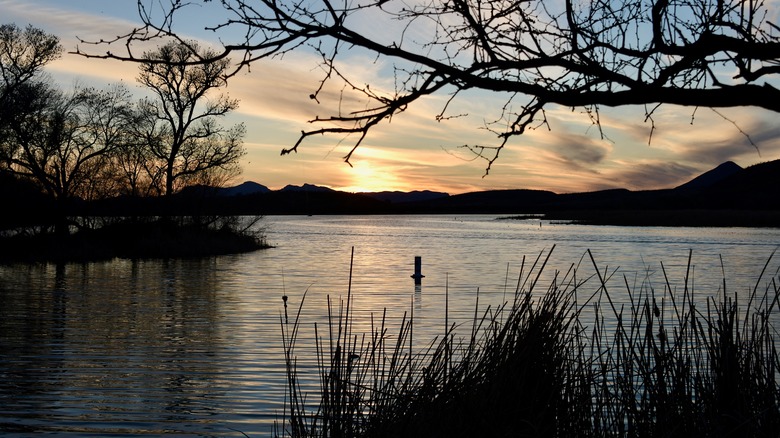Sunset at Patagonia Lake State Park