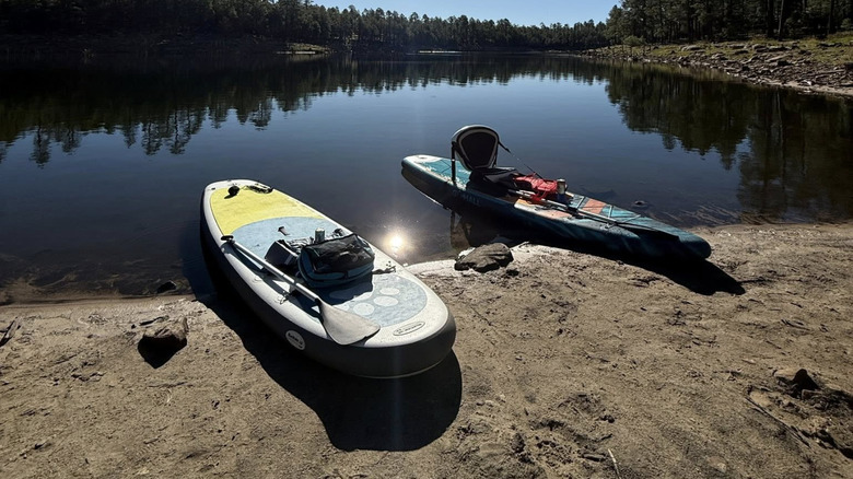 Paddleboards in the water at Willow Springs Lake