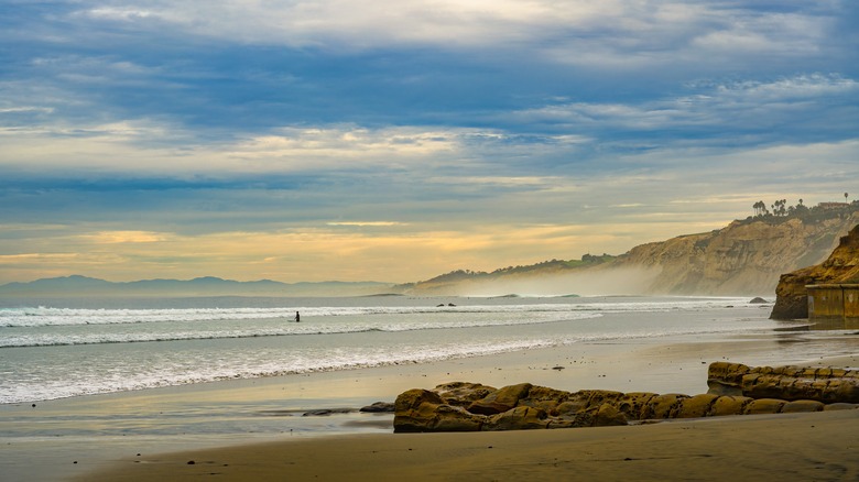 la jolla shores beach cliffs