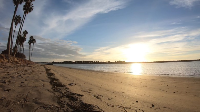 Golden sandy beach at Playa Pacific Park at sunset