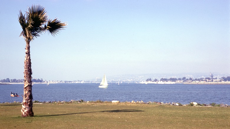 west mission bay from bonita cove