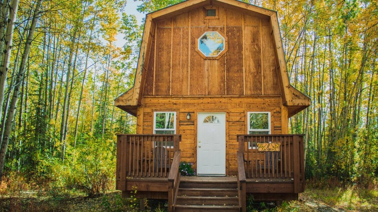 Tall wooden cabin surrounded by trees