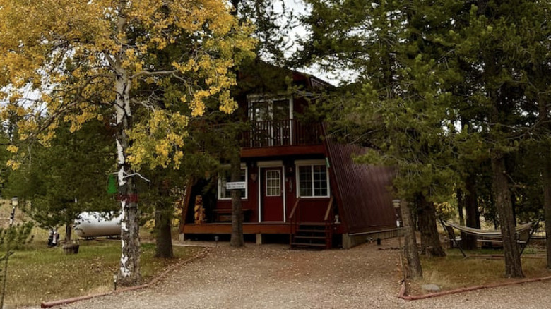 Cozy wood cottage surrounded by pine trees