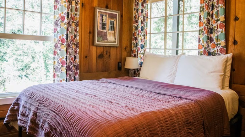 Yellow cabin hidden by pines