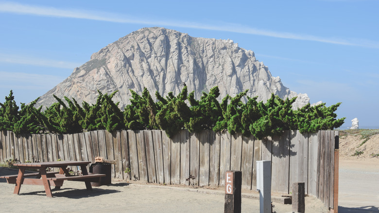 A picnic table overlooking Morro Bay