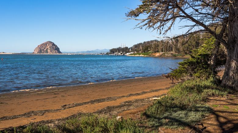 A view over Morro Bay's famous rock stack