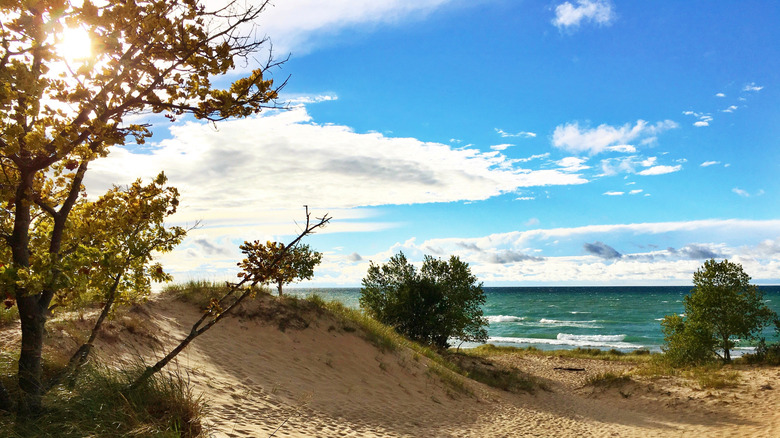 Lake Michigan's Nordhouse Dunes in Manistee National Forest, Michigan
