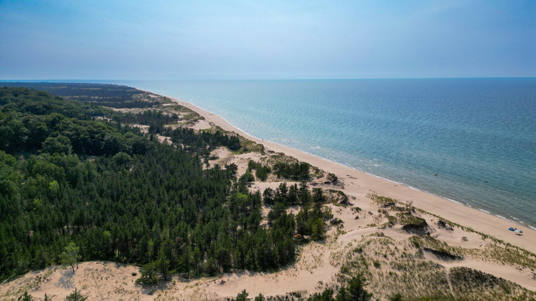 Nordhouse Dunes on the Lake Michigan shoreline near Ludington, Michigan